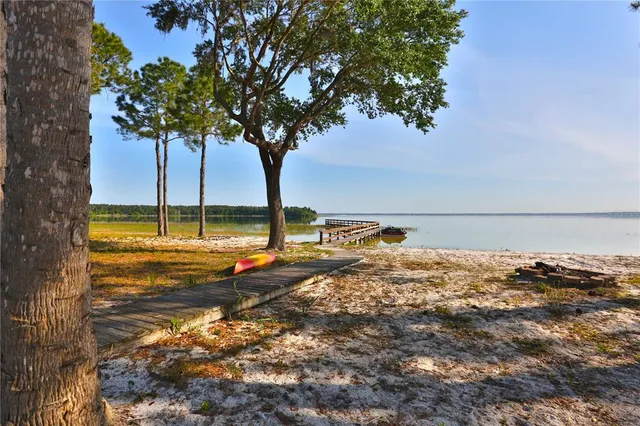 a view of a lake with a tree