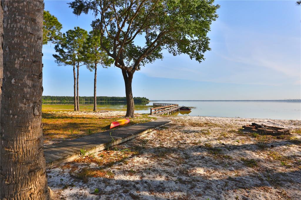 12115 Southeast Sunset Harbor Road Weirsdale, FL 32195 - Photo 14 of 35 a view of a large tree with an outdoor space