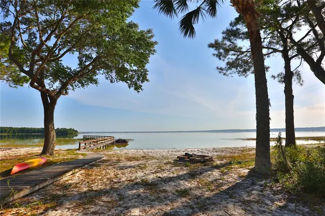 a view of a backyard with a large tree