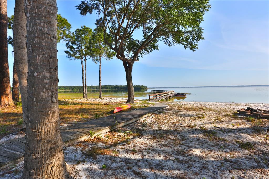 12115 Southeast Sunset Harbor Road Weirsdale, FL 32195 - Photo 16 of 35 a view of a backyard with a large tree