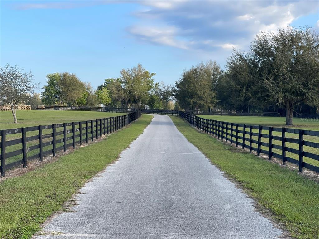 12115 Southeast Sunset Harbor Road Weirsdale, FL 32195 - Photo 21 of 35 a view of park with a yard