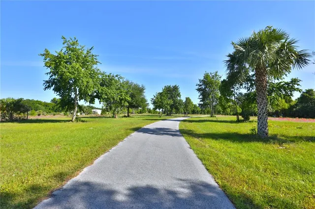 a view of a park and trees