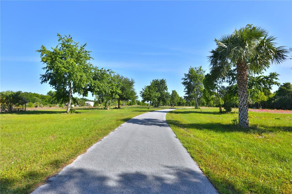12115 Southeast Sunset Harbor Road Weirsdale, FL 32195 - Photo 22 of 35 a view of a park with trees s