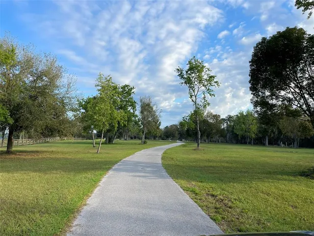a view of a park with large trees