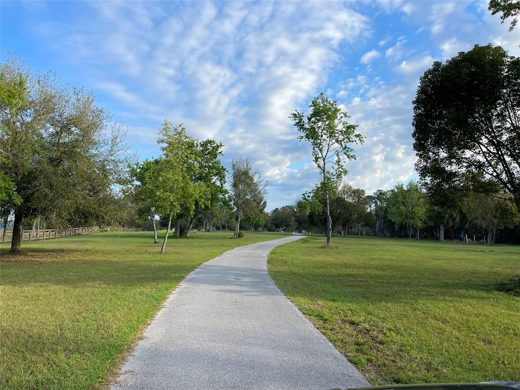12115 Southeast Sunset Harbor Road Weirsdale, FL 32195 - Photo 23 of 35 a view of a park and trees