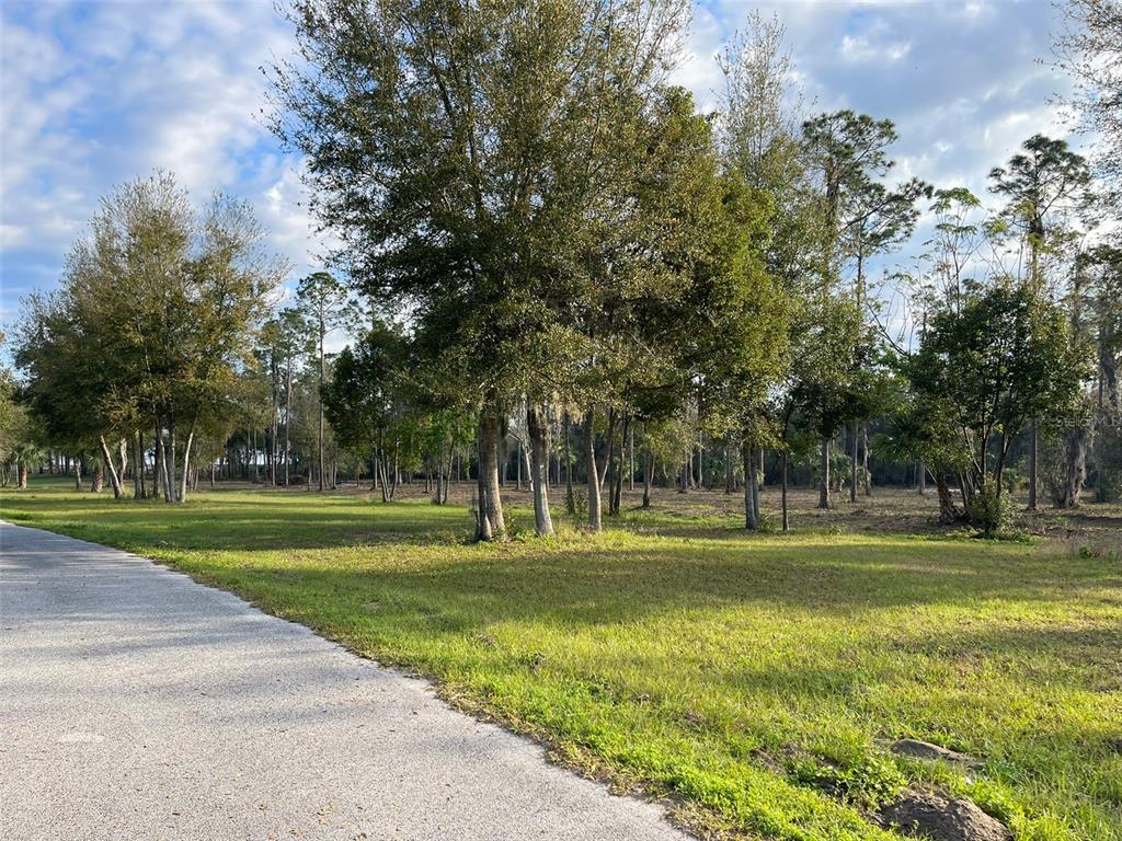 12115 Southeast Sunset Harbor Road Weirsdale, FL 32195 - Photo 24 of 35 a view of a park with large trees