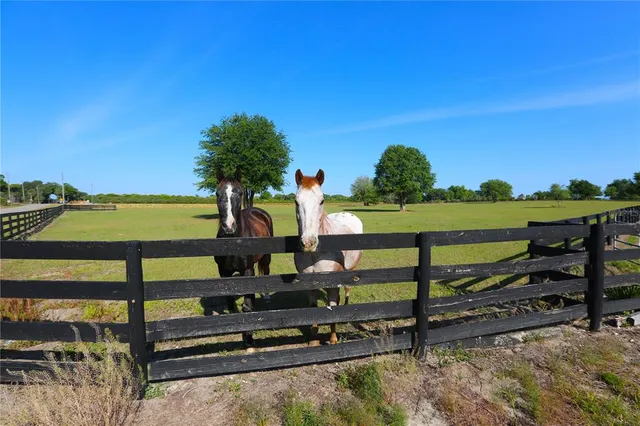 a view of a yard with lots of green space