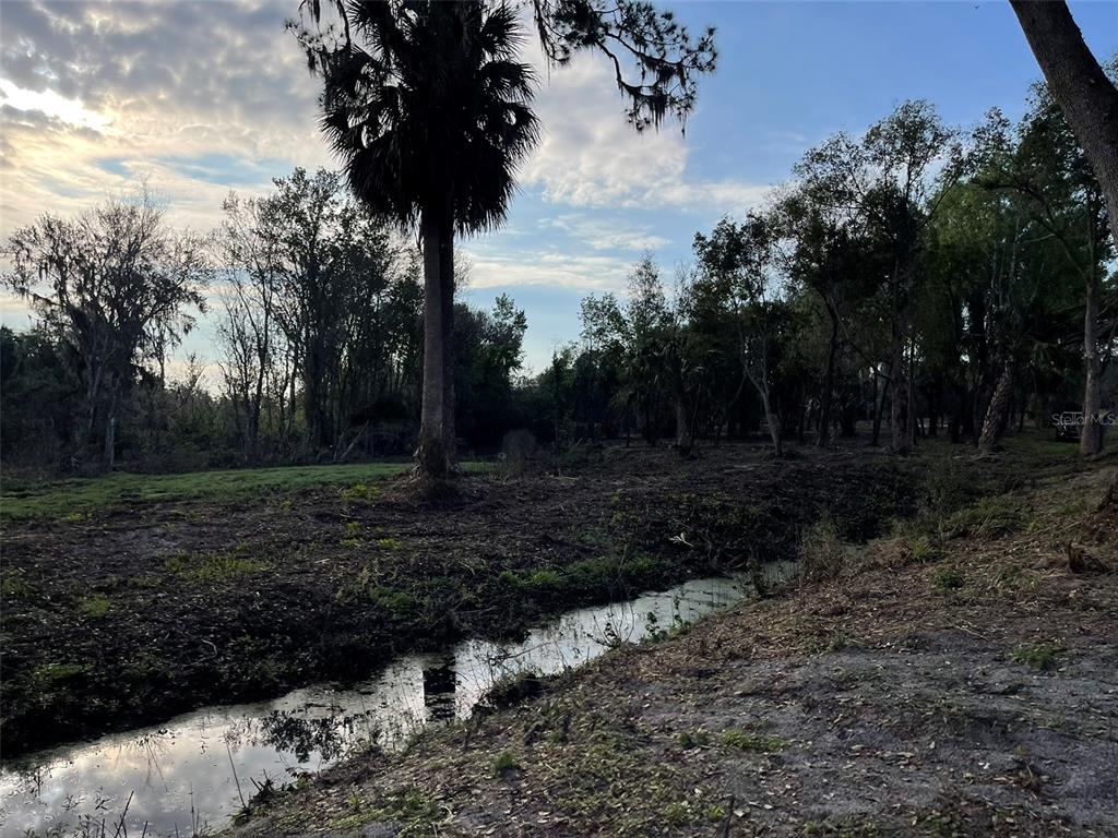 12115 Southeast Sunset Harbor Road Weirsdale, FL 32195 - Photo 28 of 35 a view of a yard with lots of green space