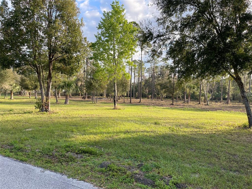 12115 Southeast Sunset Harbor Road Weirsdale, FL 32195 - Photo 29 of 35 a view of yard with trees