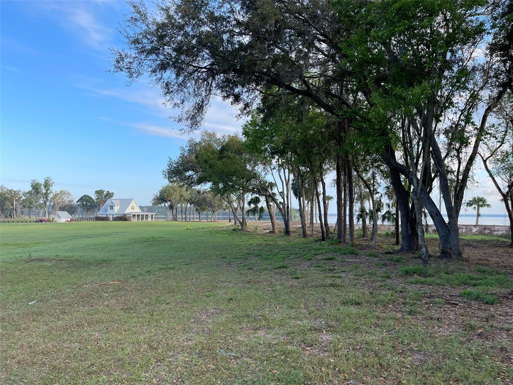 12115 Southeast Sunset Harbor Road Weirsdale, FL 32195 - Photo 31 of 35 a view of a trees in a park