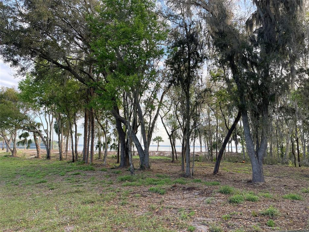 12115 Southeast Sunset Harbor Road Weirsdale, FL 32195 - Photo 32 of 35 a view of trees with a trees