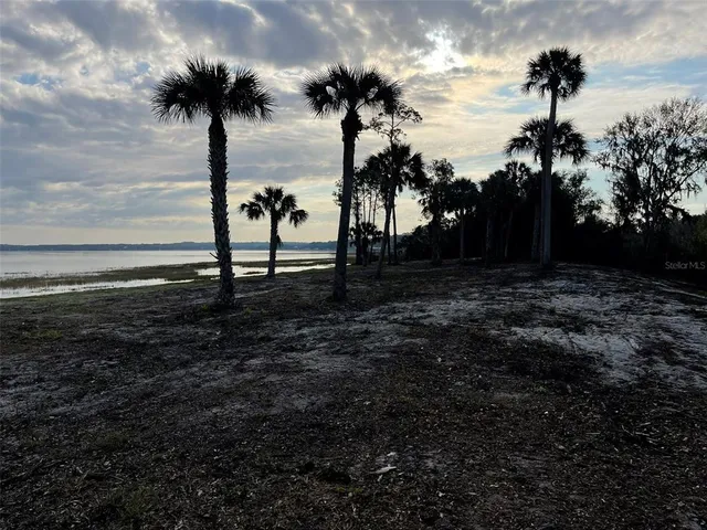 a palm plant sitting in front of a yard