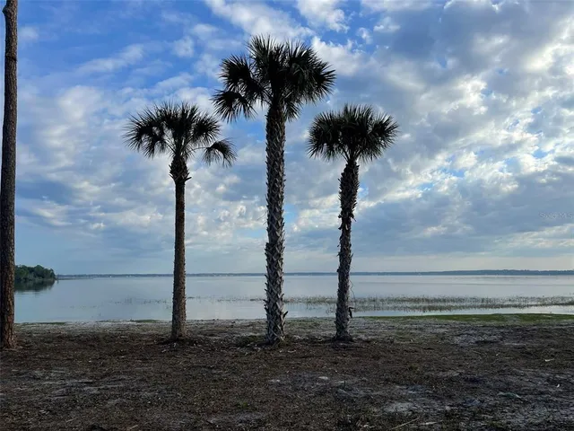 $6,000,000 | 12115 Southeast Sunset Harbor Road, Weirsdale, FL 32195