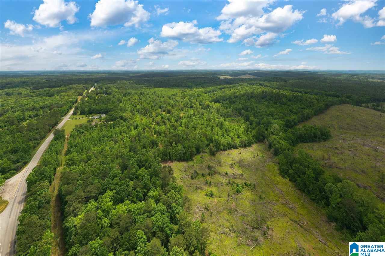 5936 Montevallo Road Centreville, AL 35042 - Photo 15 of 35