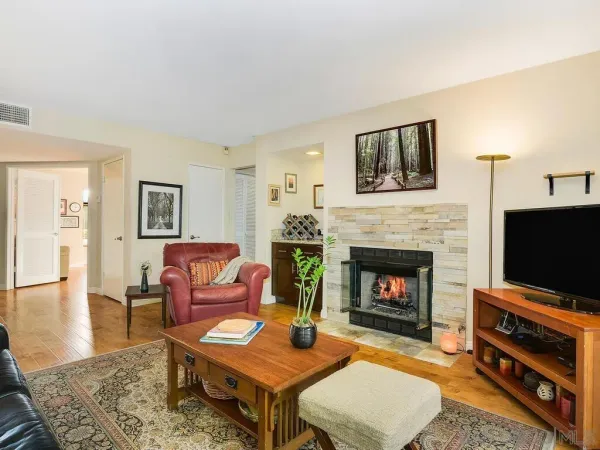 a living room with furniture a flat screen tv and a fireplace