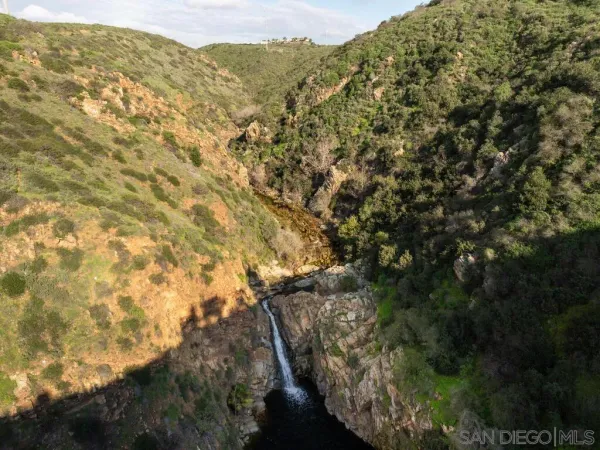a view of a forest with an trees