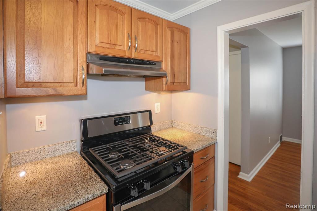 1334 East 10 Mile Road Ferndale, MI 48220 - Photo 11 of 29