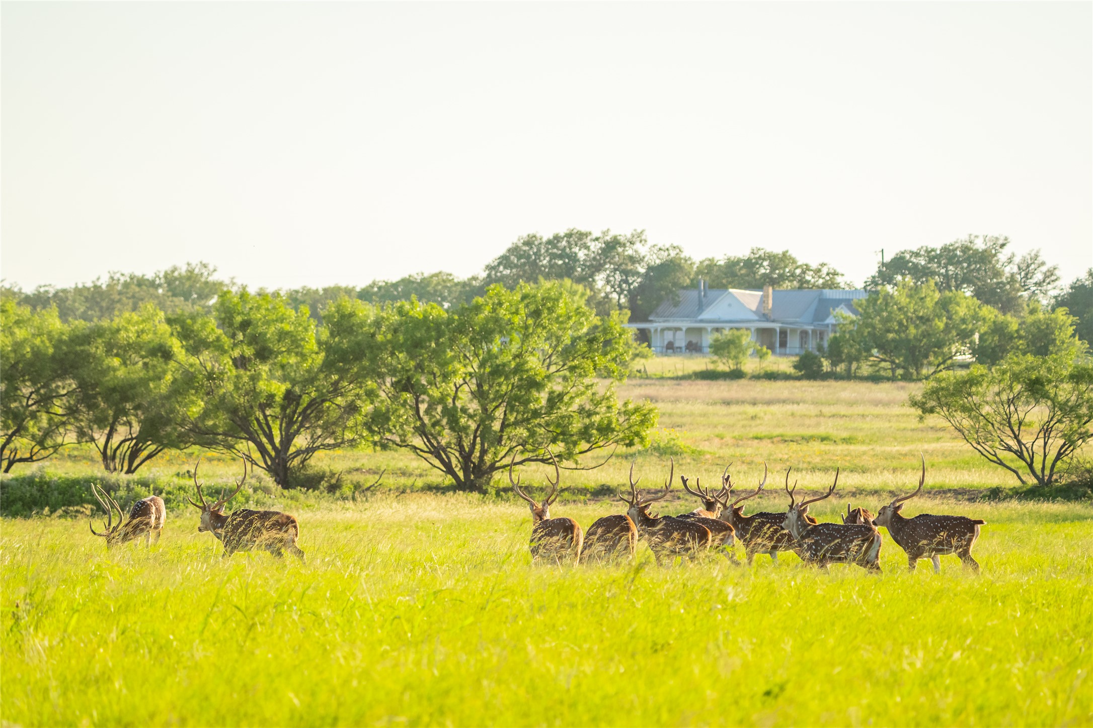 0 County Road 476 Road Rochelle, TX 76872 - Photo 2 of 40