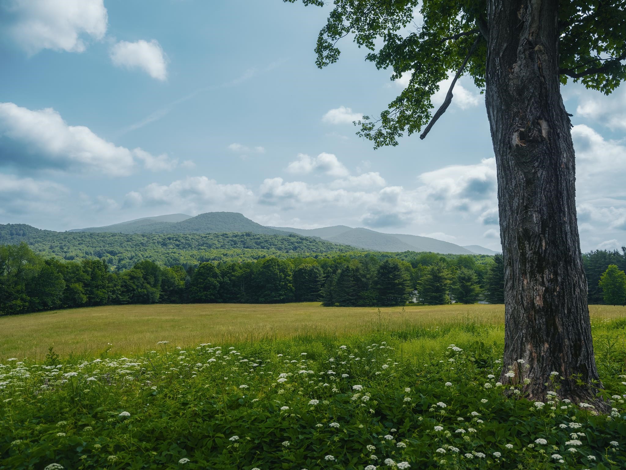 5491 Highway 315 Rupert, VT 05761 - Photo 44 of 54