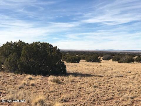 Lot 235 Chevelon Canyon Ranch Heber, AZ 85928 - Photo 1 of 3