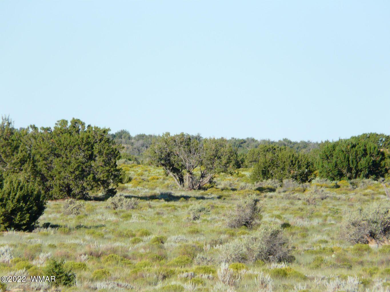 Lot 235 Chevelon Canyon Ranch Heber, AZ 85928 - Photo 3 of 3