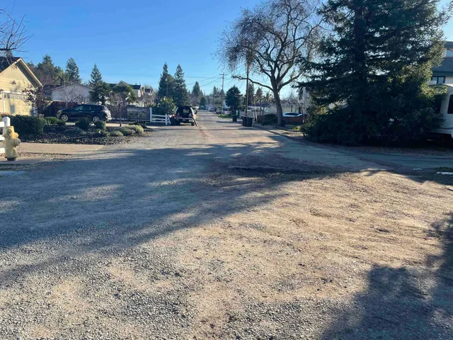 a view of dirt yard with a large tree