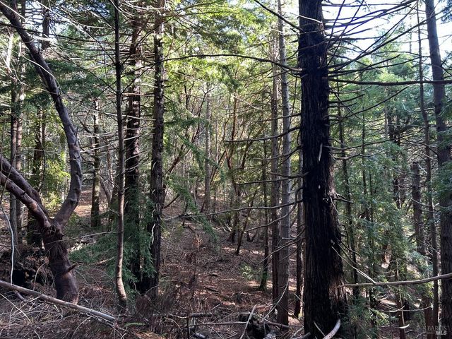 $899,000 | 34620 Eureka Hill Road, Point Arena, CA 95468