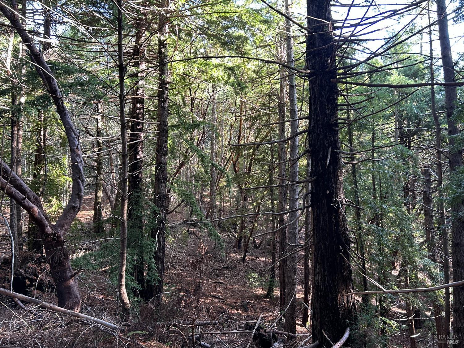 34620 Eureka Hill Road Point Arena, CA 95468 - Photo 22 of 38