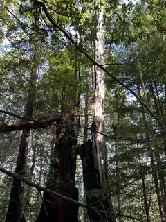 $899,000 | 34620 Eureka Hill Road, Point Arena, CA 95468