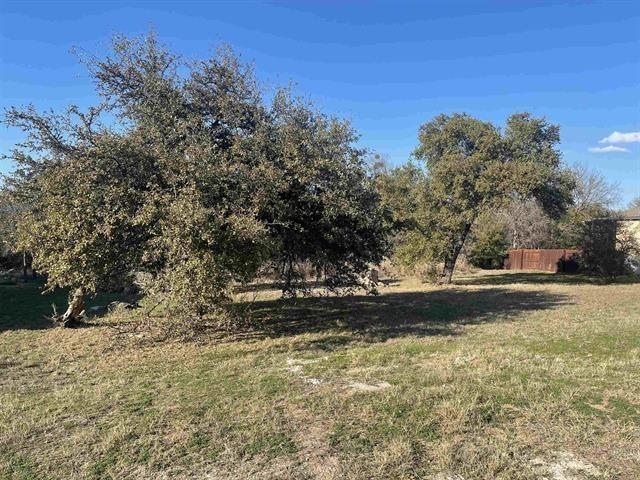 113 Primrose Lane Marble Falls, TX 78654 - Photo 1 of 3 a view of a yard with an trees
