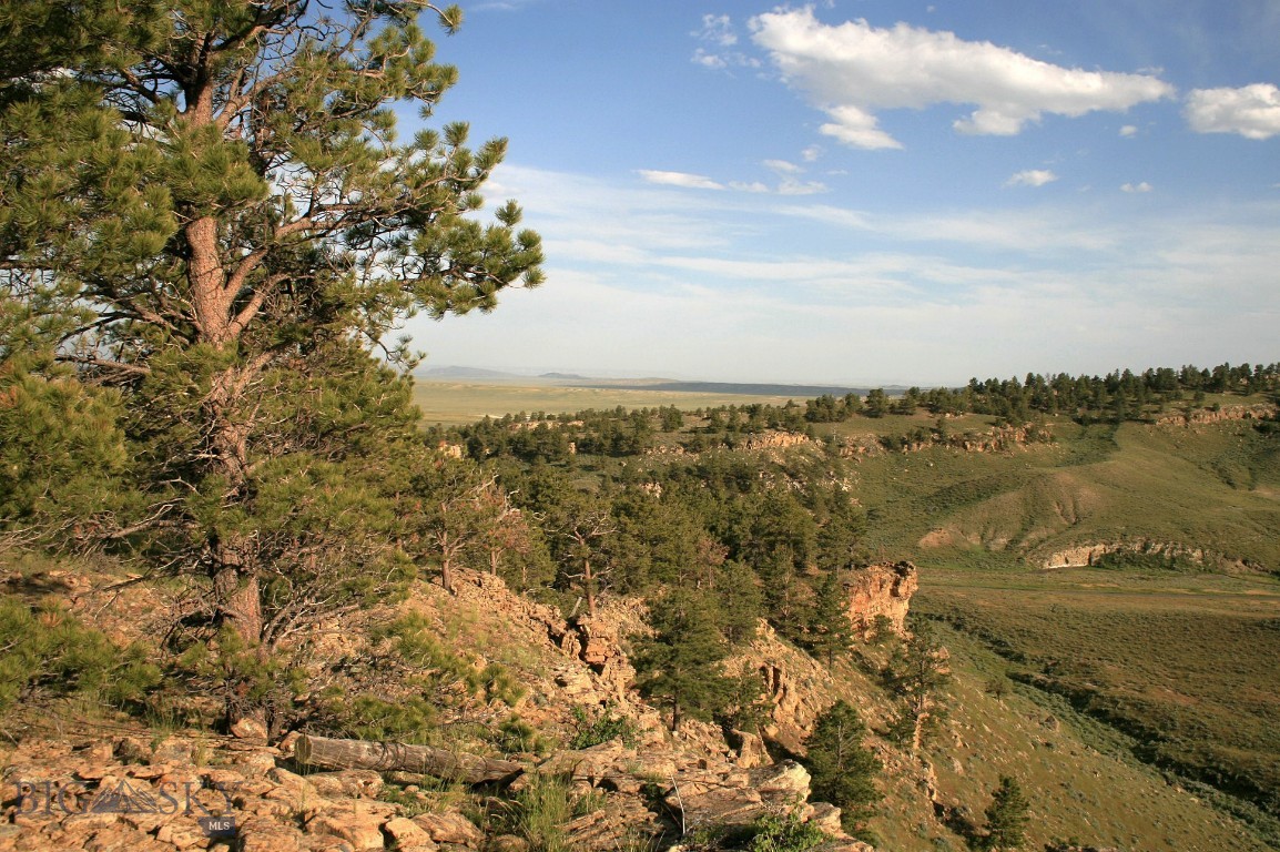 Tbd Tbd Olde English Road Natrona, WY 82646 - Photo 1 of 1 Gallery Image 1