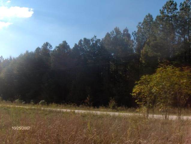 0 West Sullivan Road Ware Shoals, SC 29692 - Photo 2 of 4