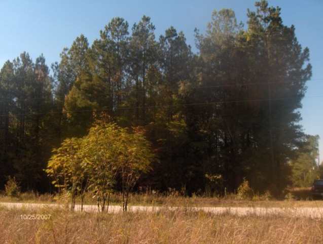 0 West Sullivan Road Ware Shoals, SC 29692 - Photo 3 of 4