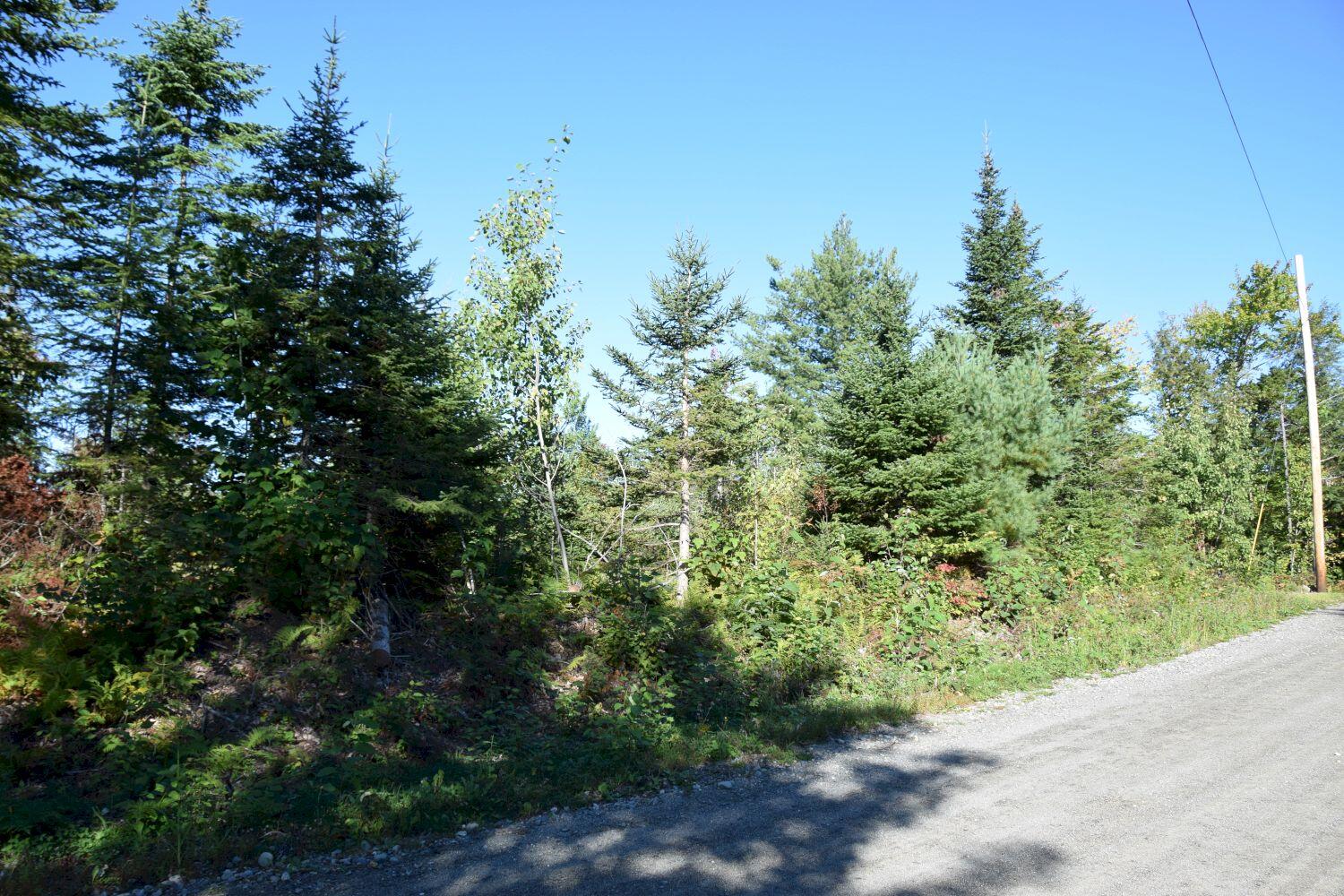 396 Eaton Hill Road Solon, ME 04979 - Photo 17 of 26 DSC_0060