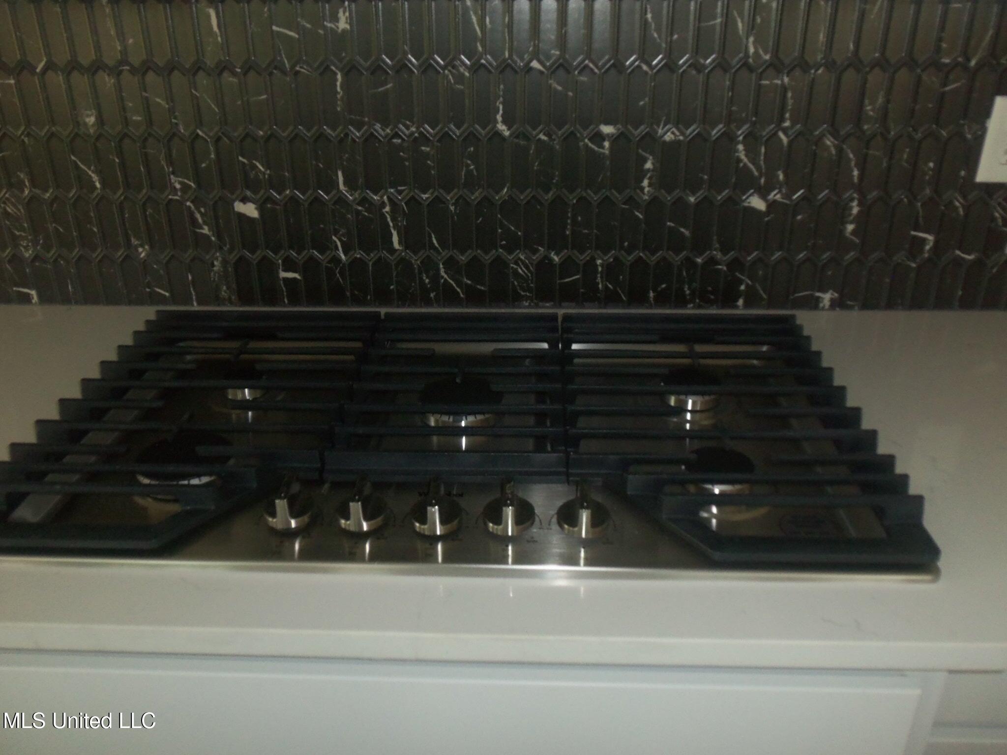 3368 Blooming Grv Road Olive Branch, MS 38654 - Photo 12 of 36 100_1401