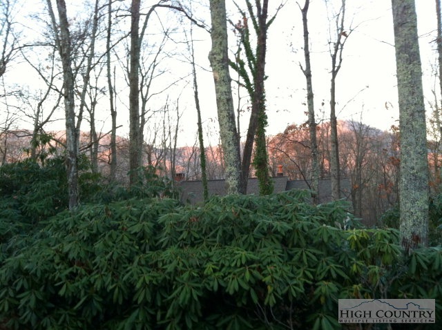 107 Hawthorne Lane Boone, NC 28607 - Photo 2 of 15 Gallery Image 2