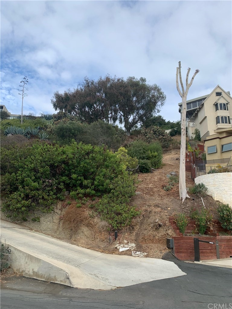 31204 Ceanothus Drive Laguna Beach, CA 92651 - Photo 2 of 5 a view of a yard