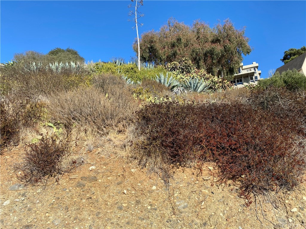 31204 Ceanothus Drive Laguna Beach, CA 92651 - Photo 3 of 5 a view of a large yard with lots of bushes