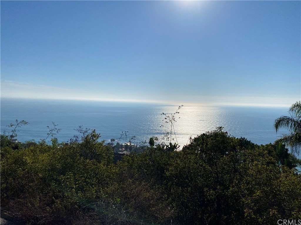 31204 Ceanothus Drive Laguna Beach, CA 92651 - Photo 5 of 5 a view of a city