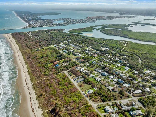 a view of a hallway with wooden floor and a potted plant