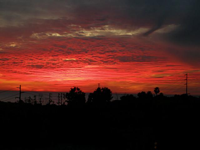 945 Jeffrey Road Del Mar, CA 92014 - Photo 7 of 7