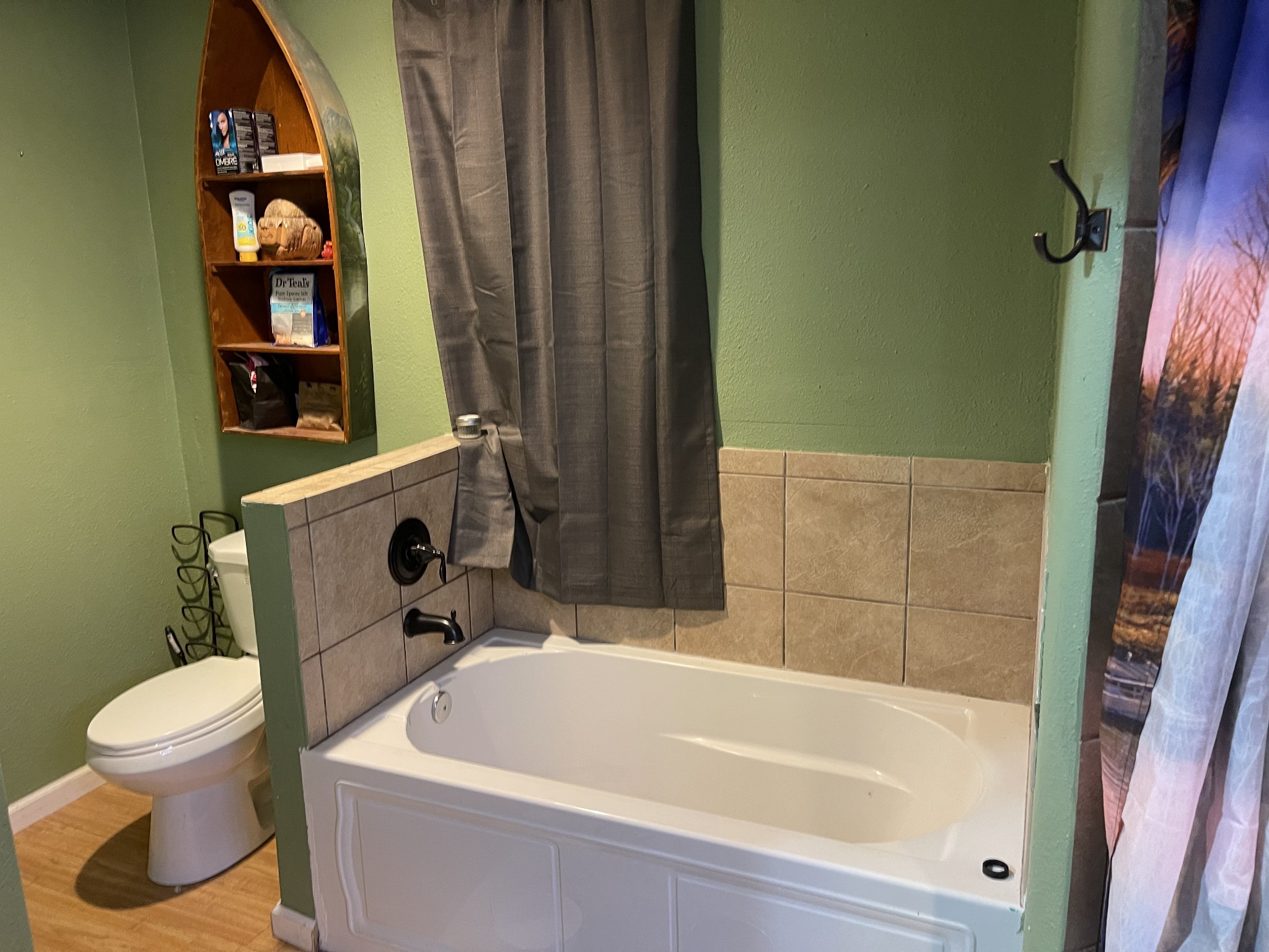 2053 Dog Branch Road Prospect, TN 38477 - Photo 16 of 25 a bathroom with a sink a toilet and a bathtub