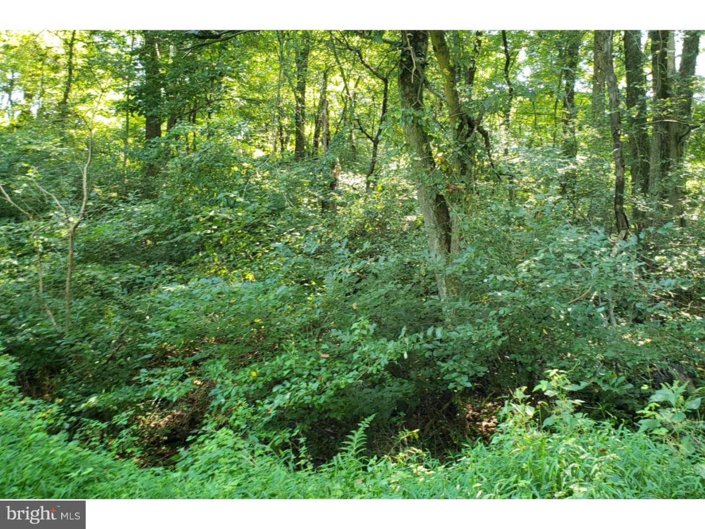 1011 King Pen Road Kirkwood, PA 17536 - Photo 5 of 6