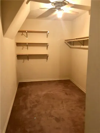 a bathroom with a sink and a shower