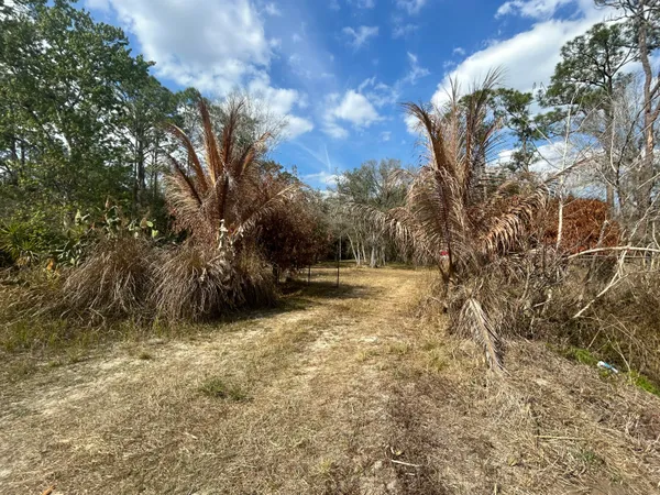 a view of basketball yard