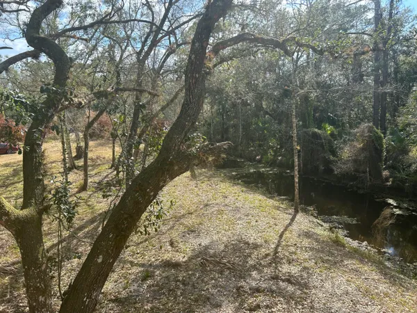 a view of a yard of a house