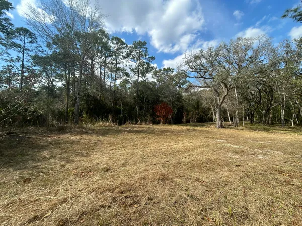 a view of outdoor space with trees