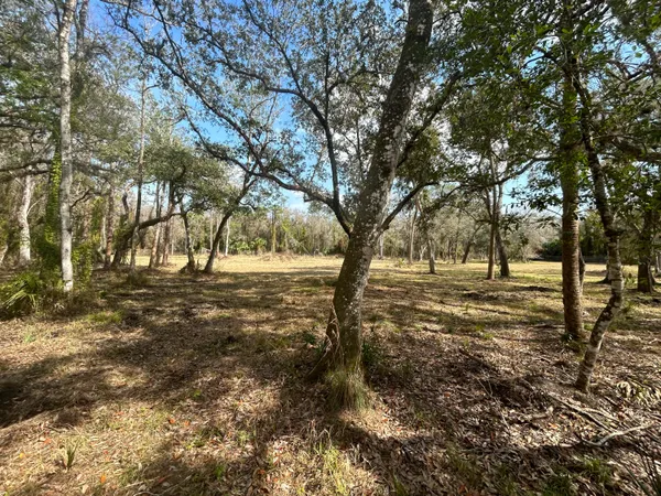 a view of yard with trees