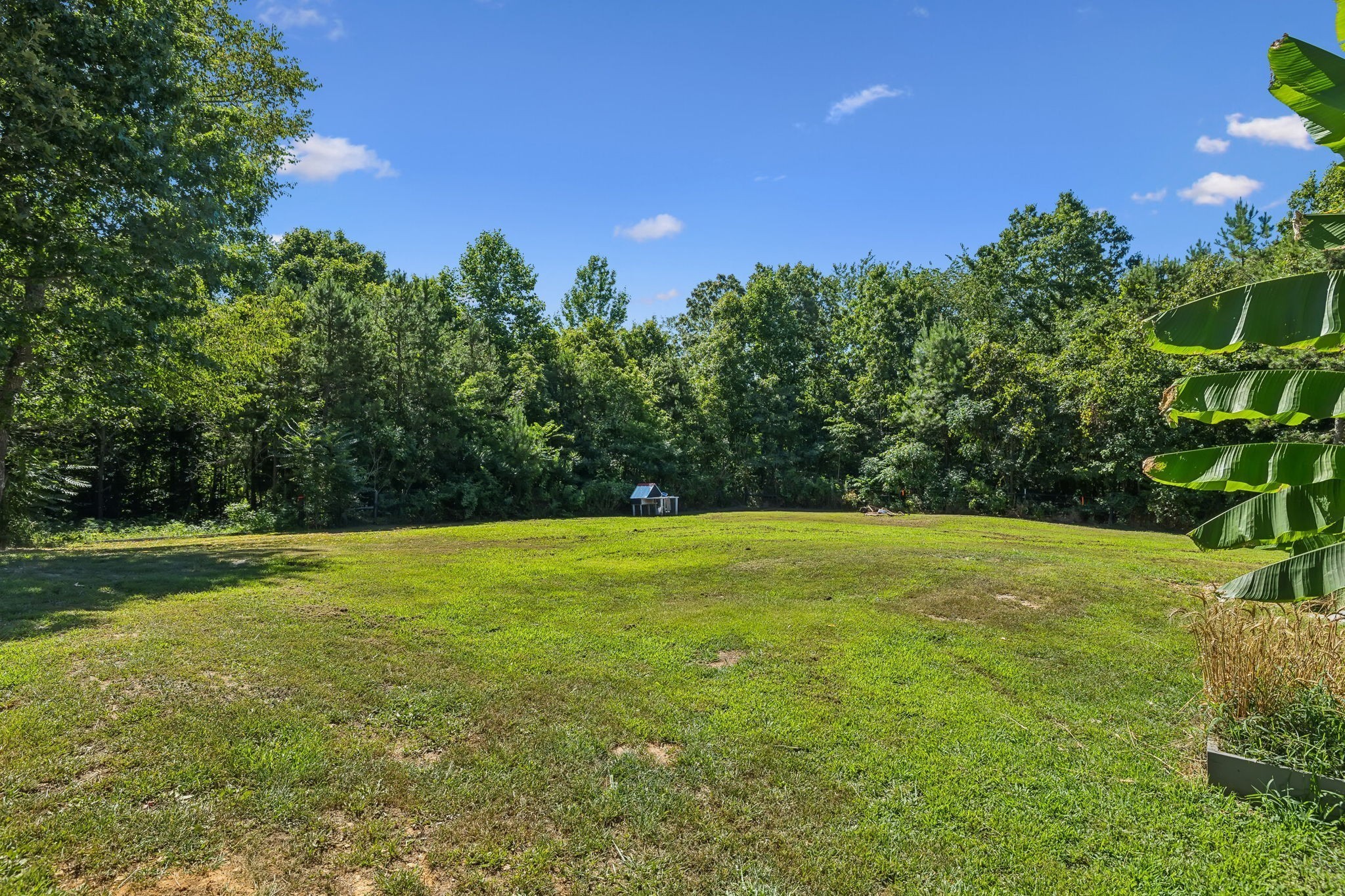 144 Bjs Way Summertown, TN 38483 - Photo 17 of 54