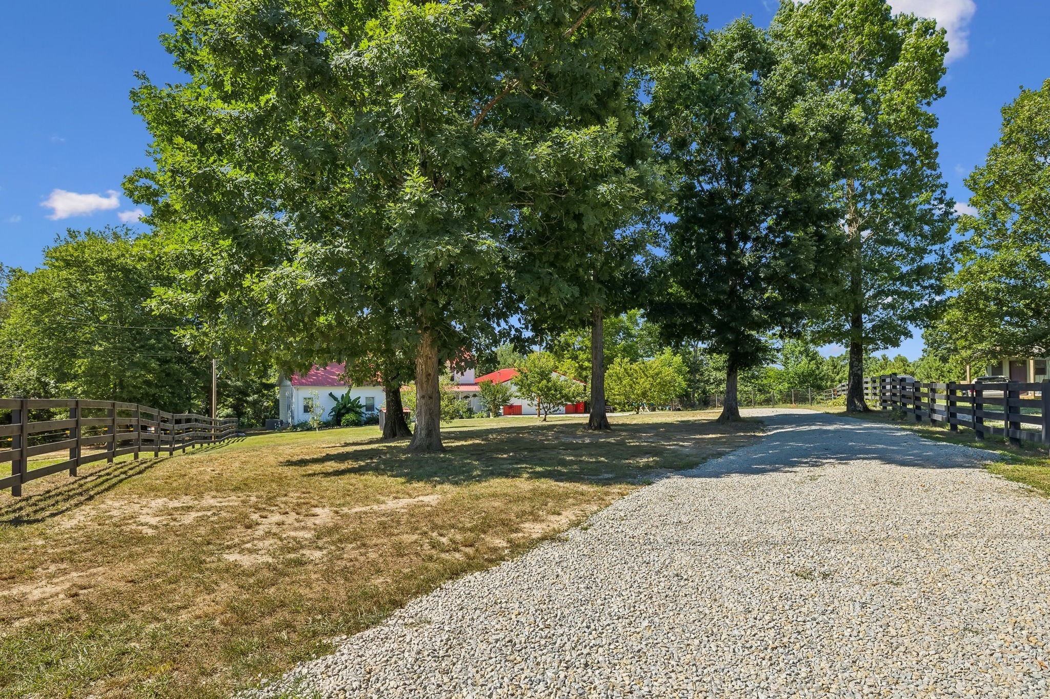 144 Bjs Way Summertown, TN 38483 - Photo 24 of 54